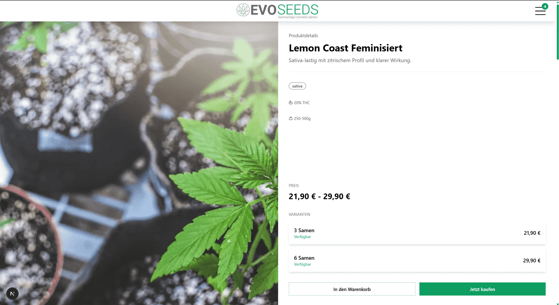 Evo Seeds desktop